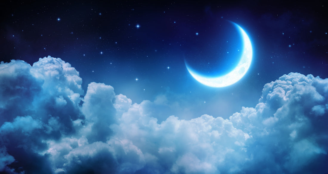 CBD for sleep support