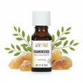 Aura Cacia Frankincense bottle on a white background