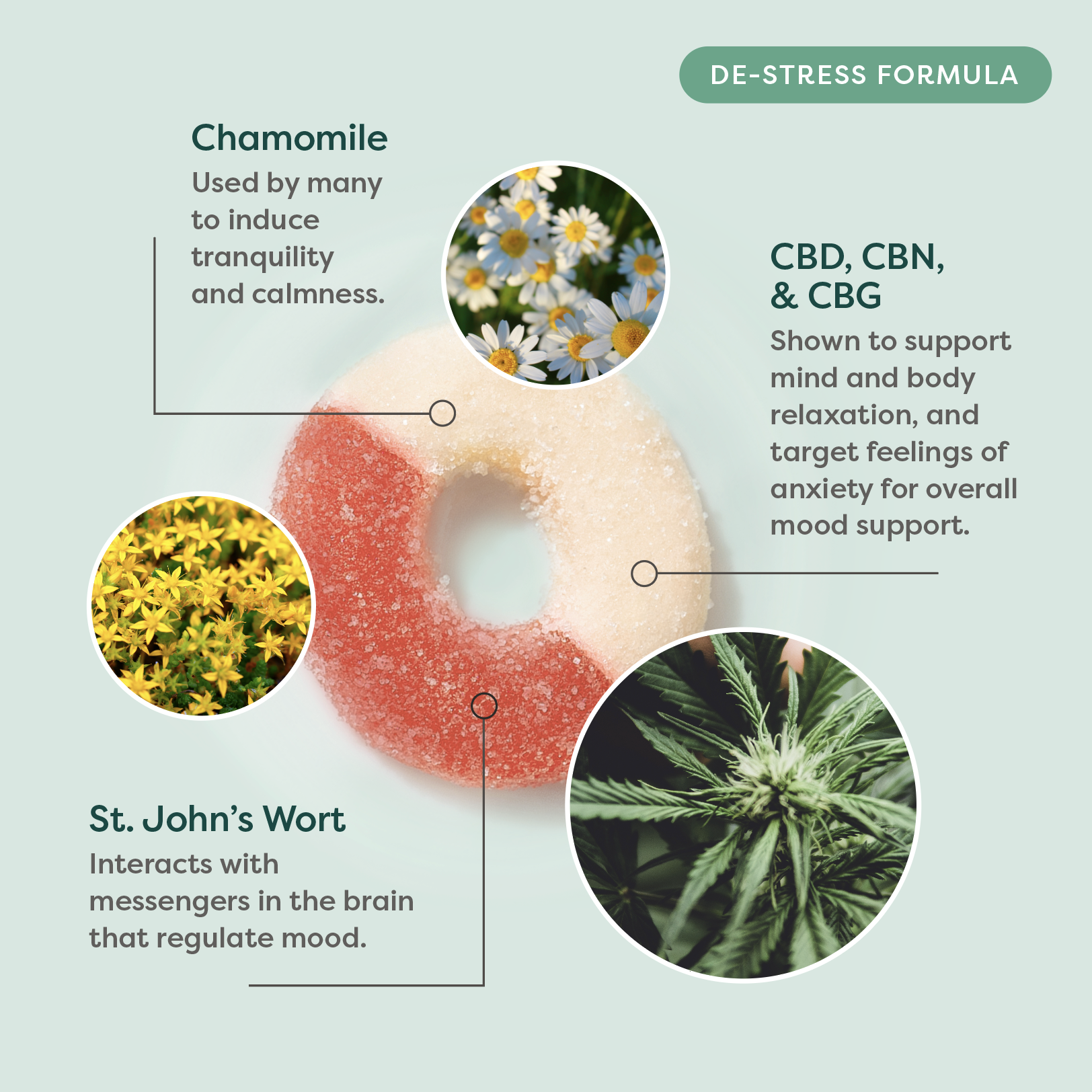 Graphic of R&R De-Stress Gummy benefits