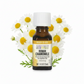 Aura Cacia Roman Chamomile in Jojoba Oil with chamomile flowers behind bottle