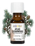 Bottle of Atlas Cedarwood with branch of atlas cedarwood behind it.