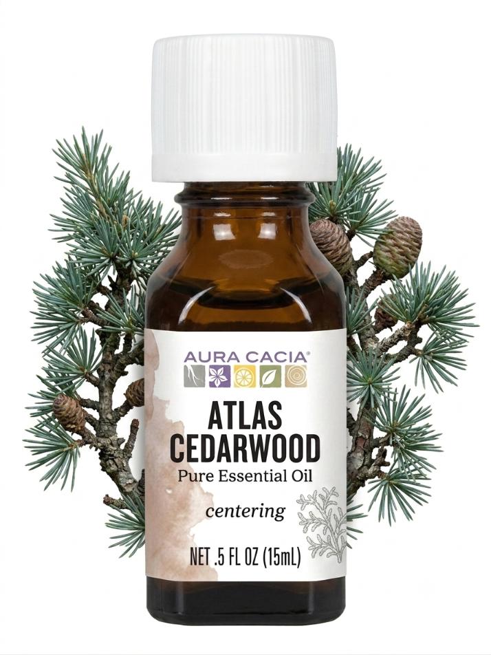 Bottle of Atlas Cedarwood with branch of atlas cedarwood behind it.