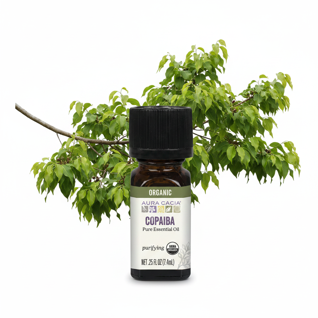 Aura Cacia Copaiba essential oil on with branch of copaiba behind bottle