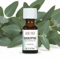 Aura Cacia Eucalyptus essential oil bottle on white background