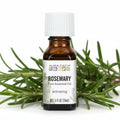 Aura Cacia Rosemary essential oil bottle on white background