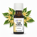 Aura Cacia Ylang Ylang essential oil with ylang ylang flower behind bottle