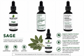 Three bottles of Sage herbal tincture with labels and a leaf graphic on a white background.