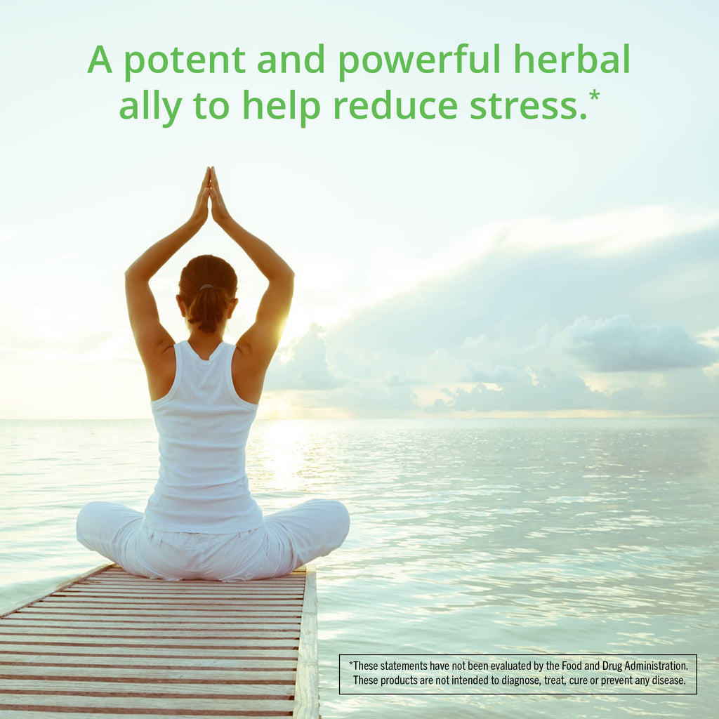 Person meditating on a dock with text about herbal stress reduction.