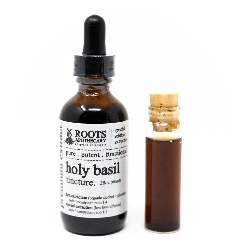 Two bottles of Roots Apothecary holy basil tincture on a white background