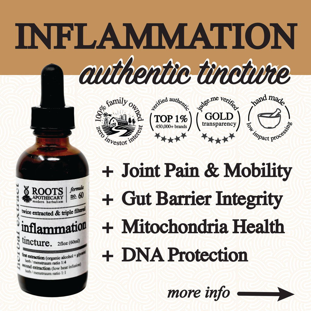 Bottle of inflammation authentic tincture with text highlighting benefits on a beige background