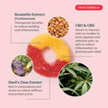Infographic detailing therapeutic benefits of Boswellia Extract, CBD & CBG, and Devil's Claw Extract on a pink background.