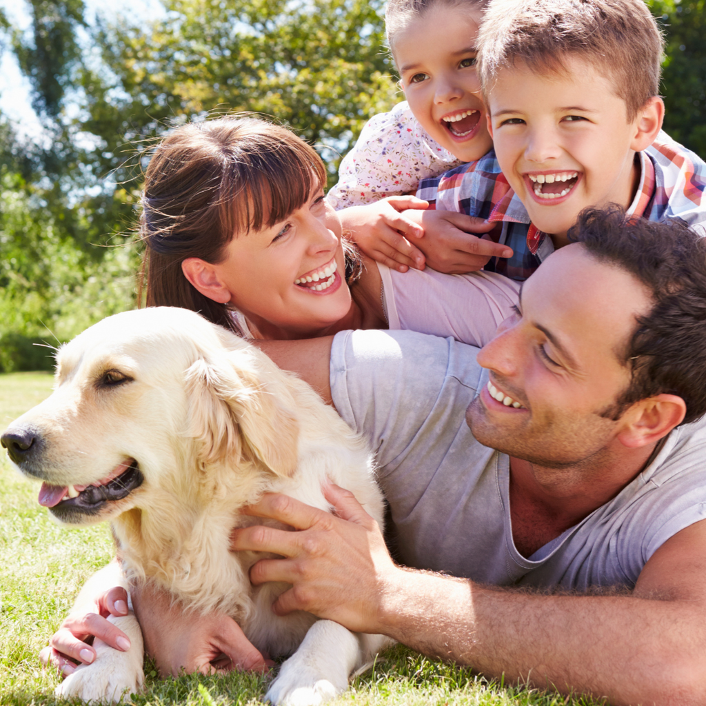 Family of four with a dog lying on grass outdoors
