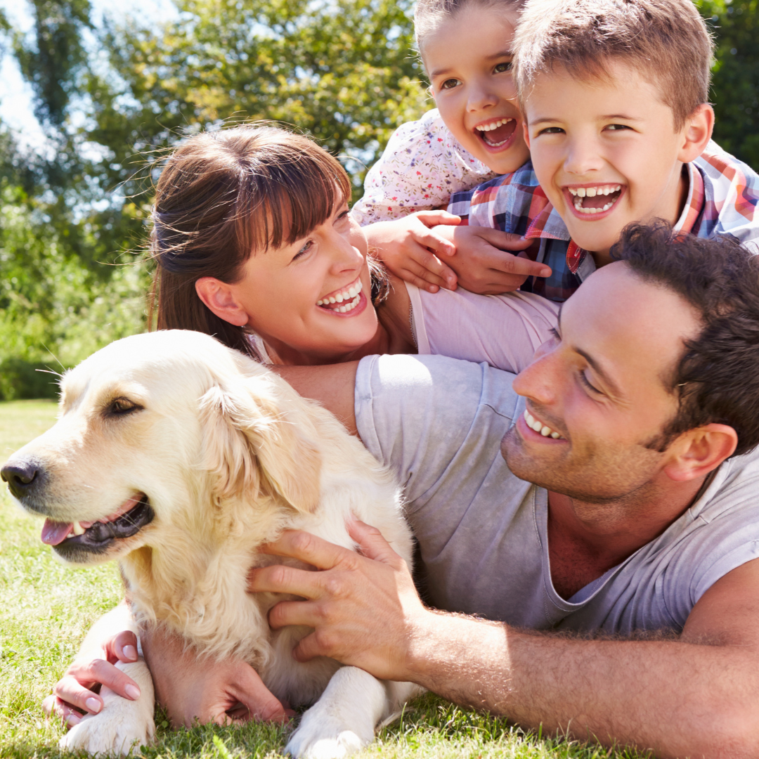 Family of four with a dog lying on grass outdoors