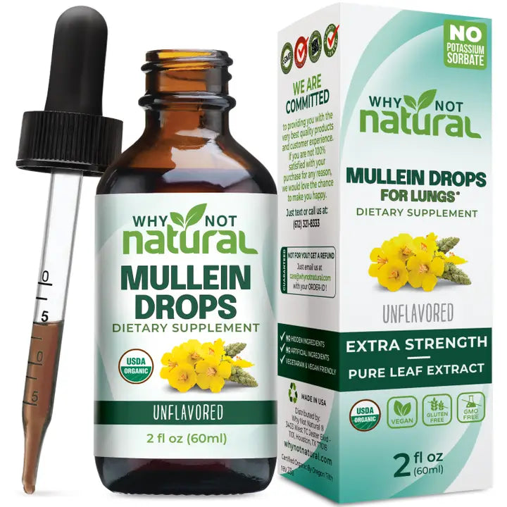 Why Not Natural Mullein Drops dietary supplement bottle and packaging with dropper.