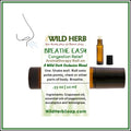 Wild Herb Breathe Easy aromatherapy roll-on with packaging details on a white background