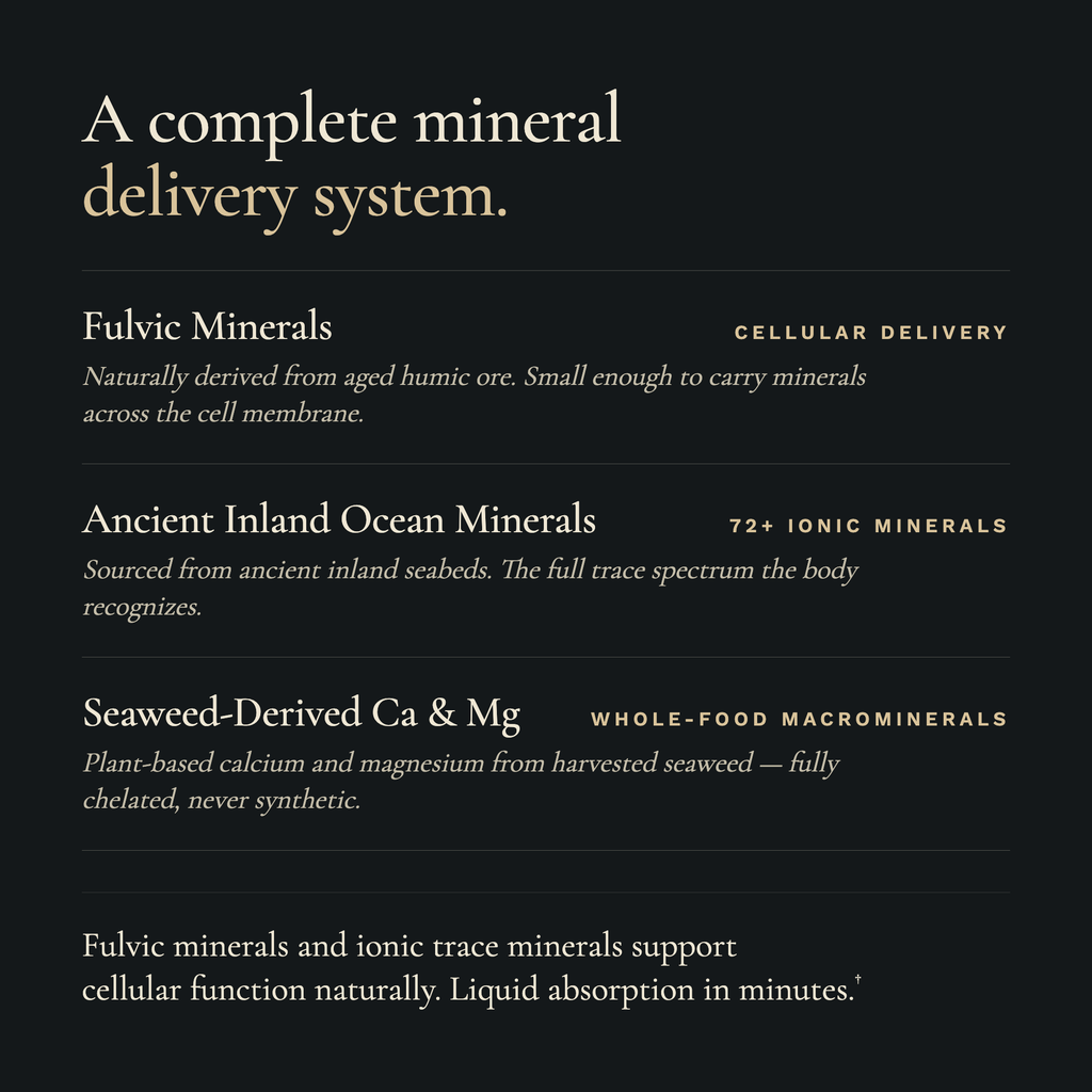 Text description of a complete mineral delivery system on a black background