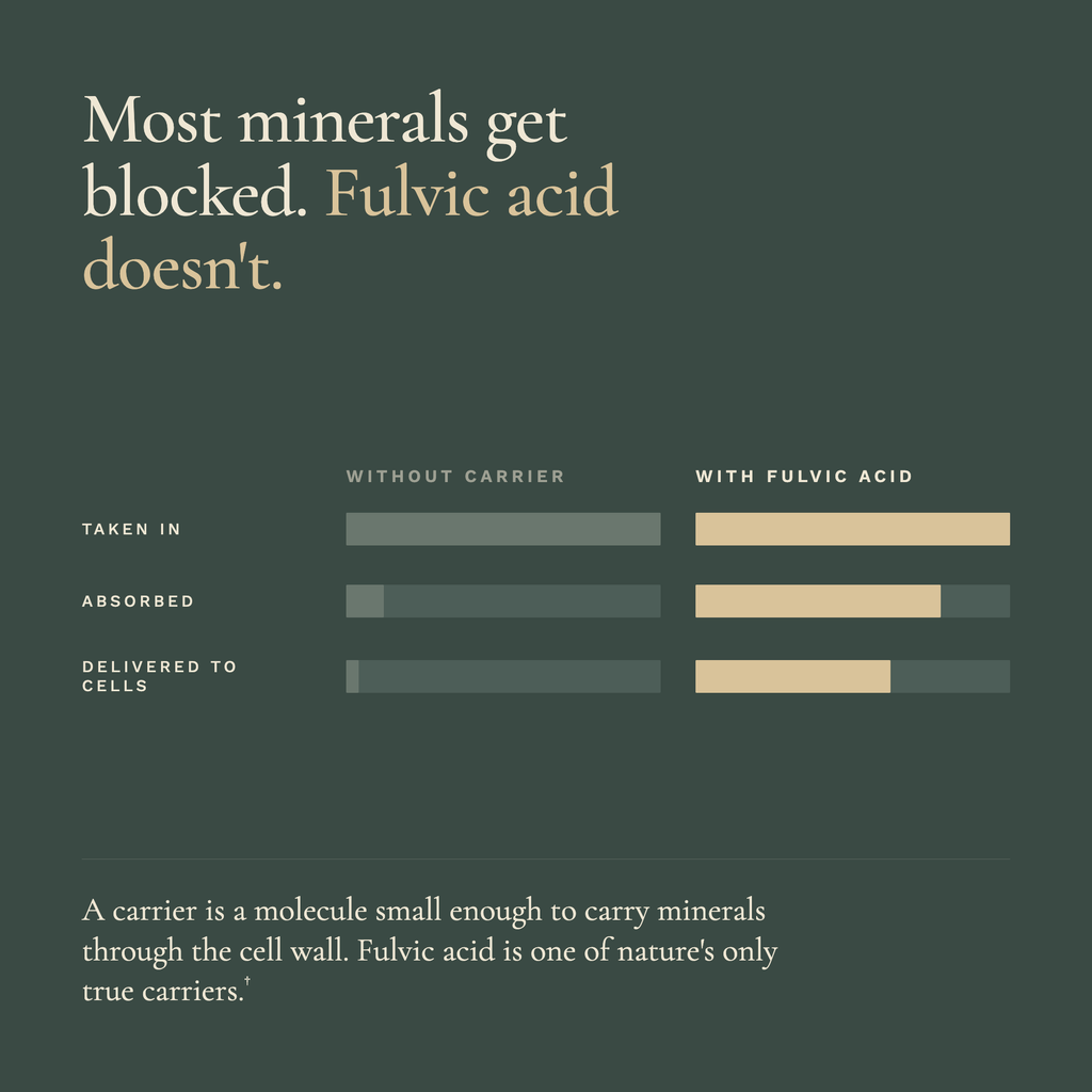 Graph comparing mineral absorption with and without fulvic acid on a dark green background.