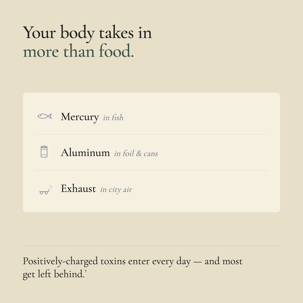 Text on a beige background about toxins entering the body from various sources.