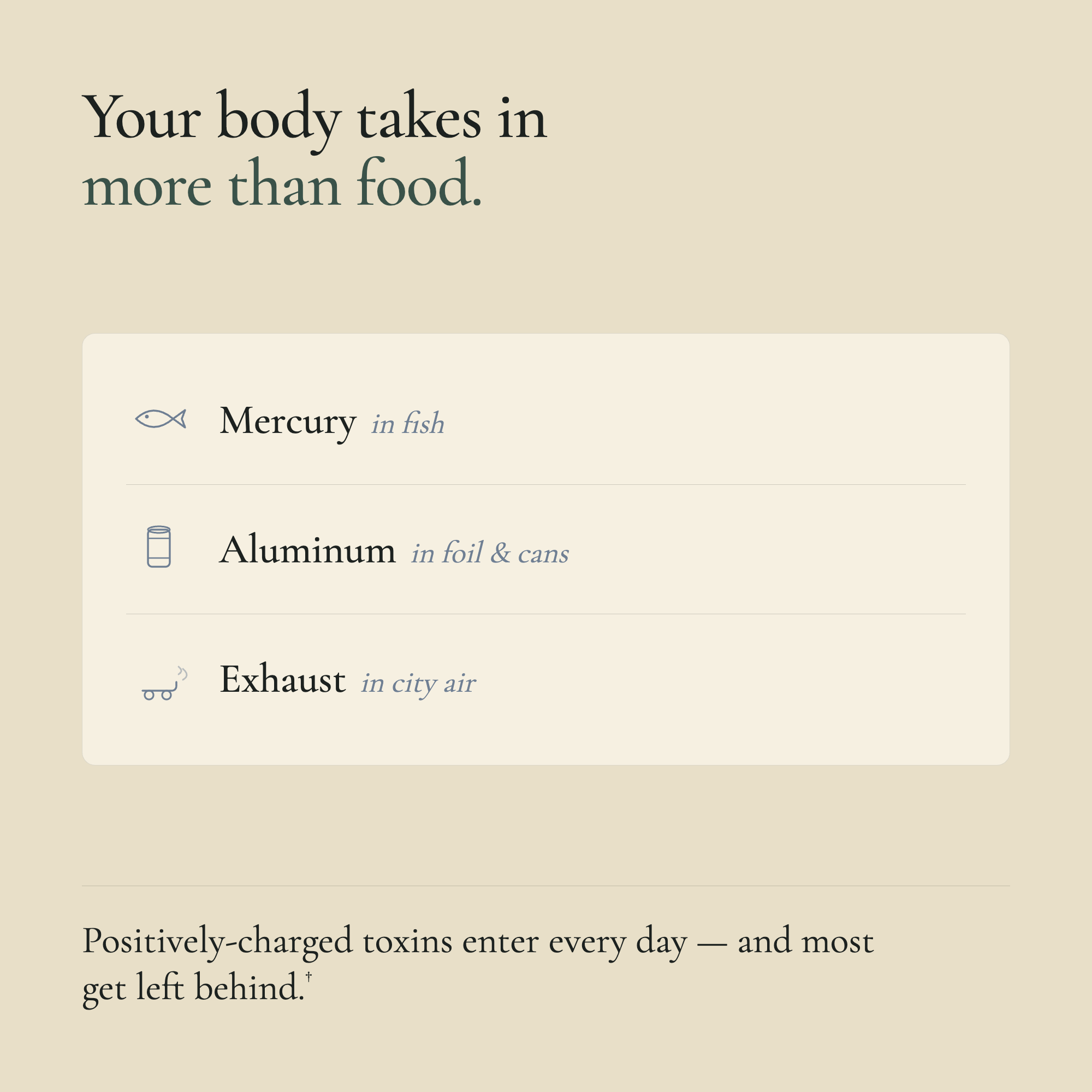 Text on a beige background about toxins entering the body from various sources.