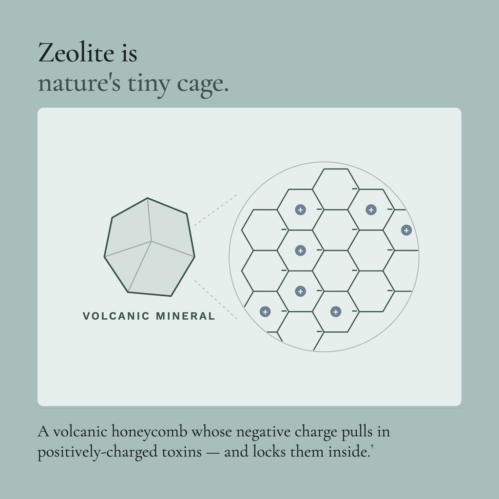 Diagram of zeolite structure with text explaining its properties on a light gray background.