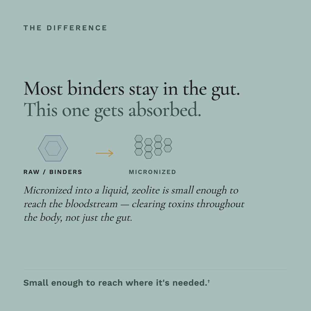 A marketing infographic on a muted blue-green background explaining a product's absorption advantage. The text reads 'Most binders stay in the gut.