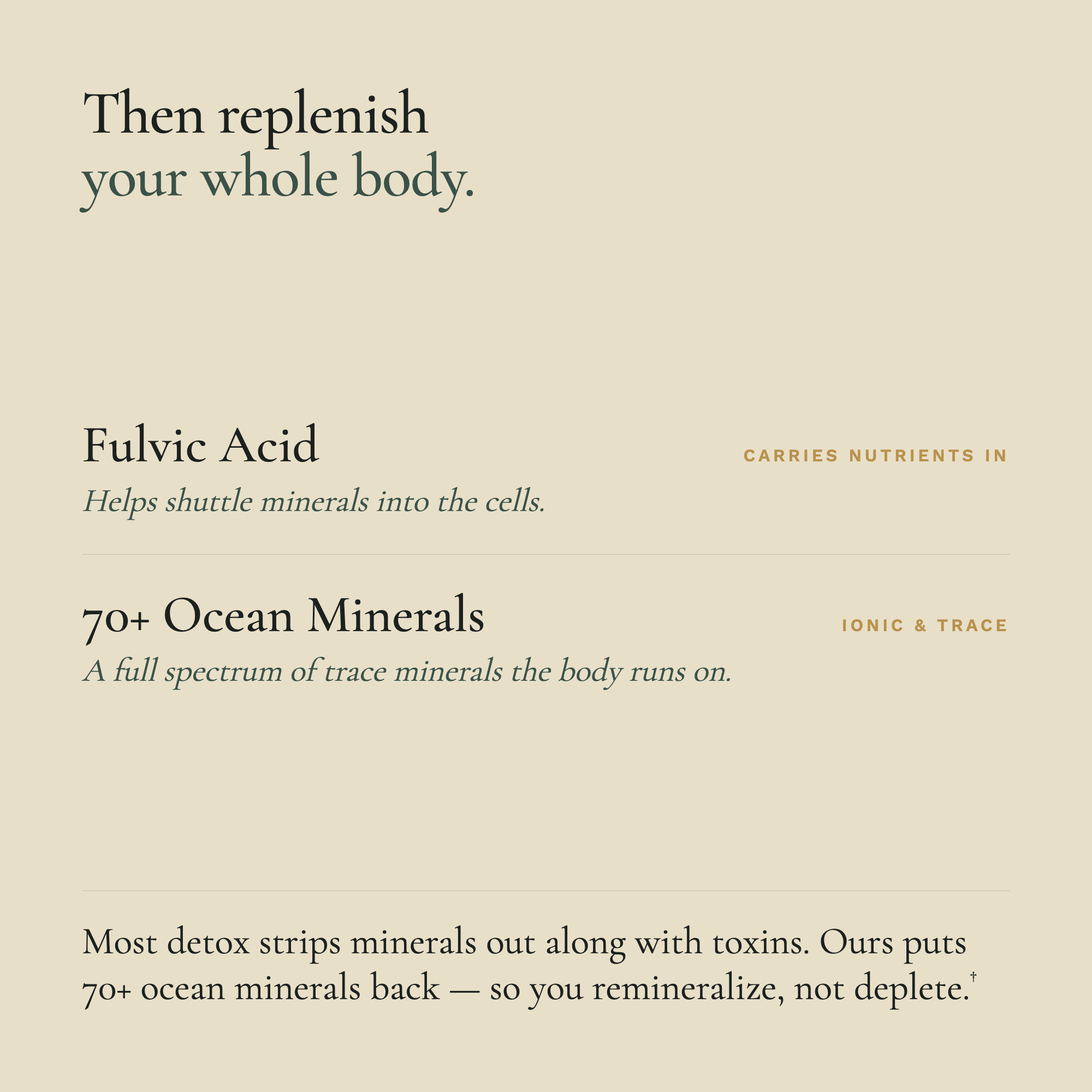 A beige promotional graphic with dark green text reading 'Then replenish your whole body.' and product benefits for Fulvic Acid and 70+ Ocean Minerals, plus a quote at the bottom.